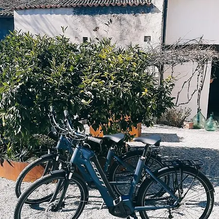 krevet i doručak Dvor Vipolze