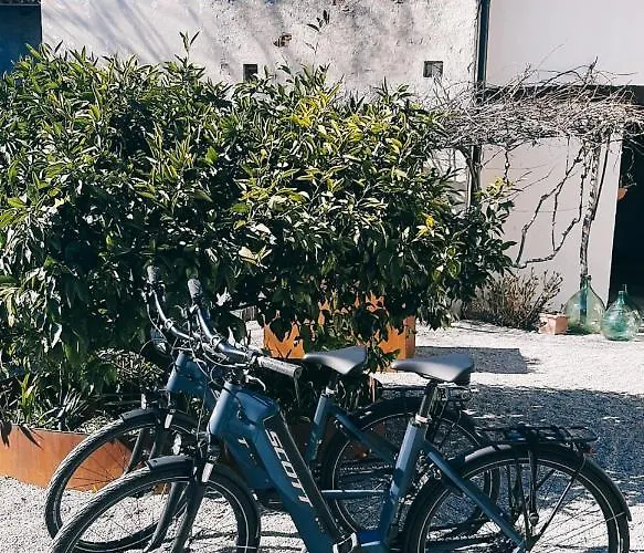 Bed & Breakfast Dvor Vipolze